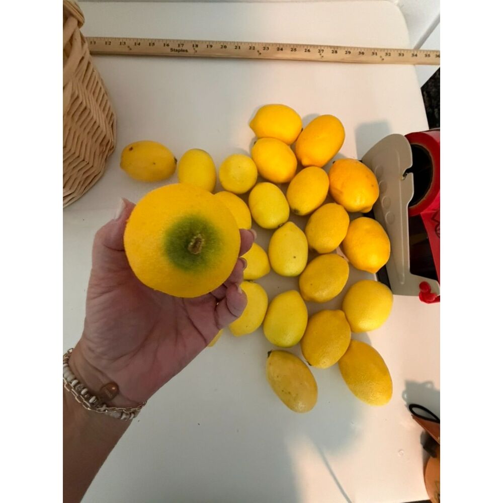 25 artificial lemons lifelike